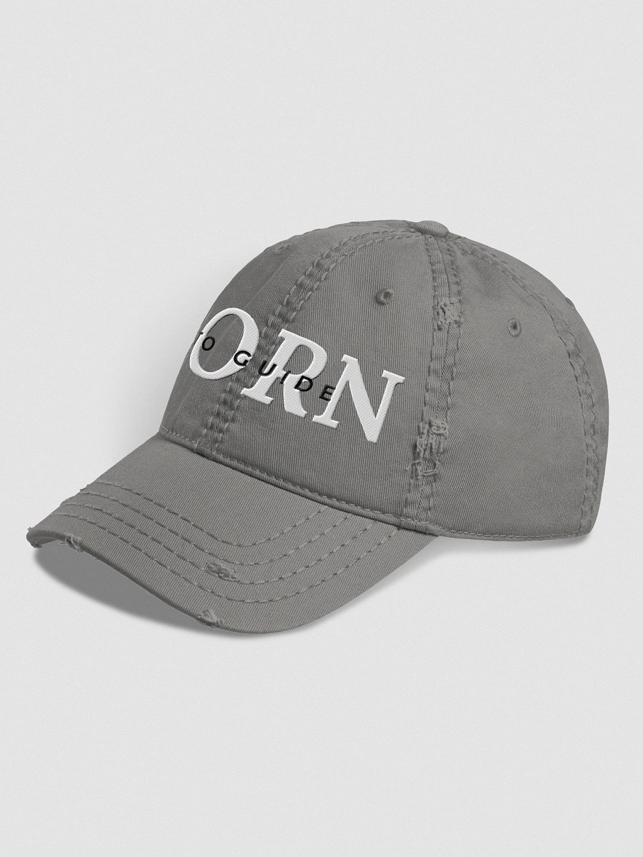 Born to Guide Projector Hat (Gray) product image (3)