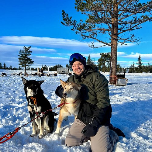 Went dog-sledding for the first time, extremely cozy
