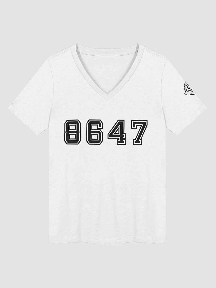 8647 College Relaxed V-Neck T-Shirt B product image (10)