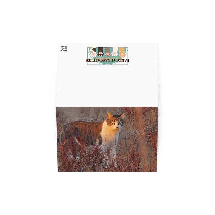 Sunset Banjo Greetings product image (4)