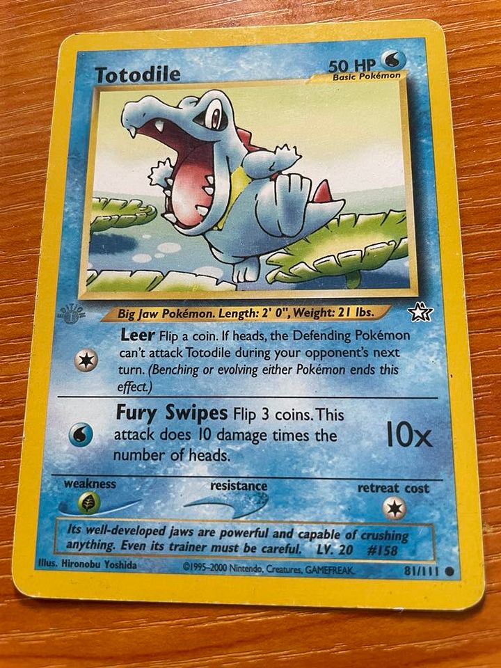 Totodile (NG 81) product image (1)