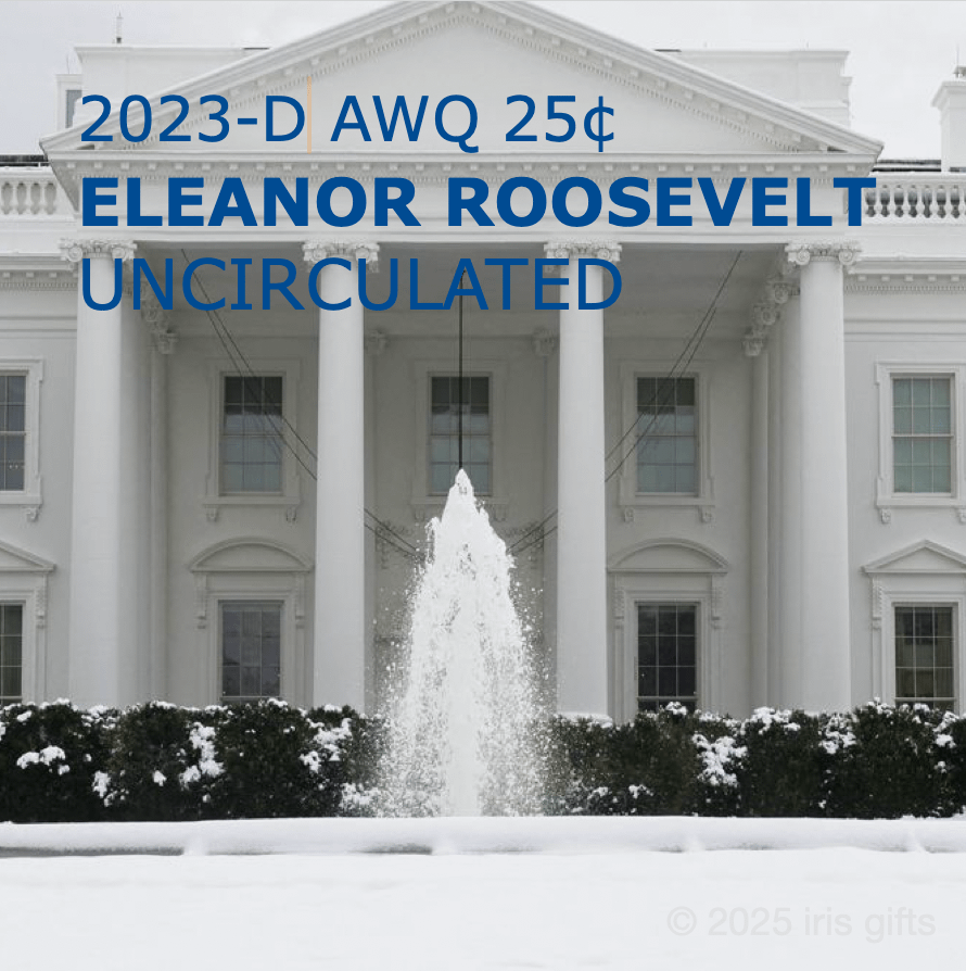 2022-2025 / Denver / American Women Quarters / Printable Picture Cards product image (3)
