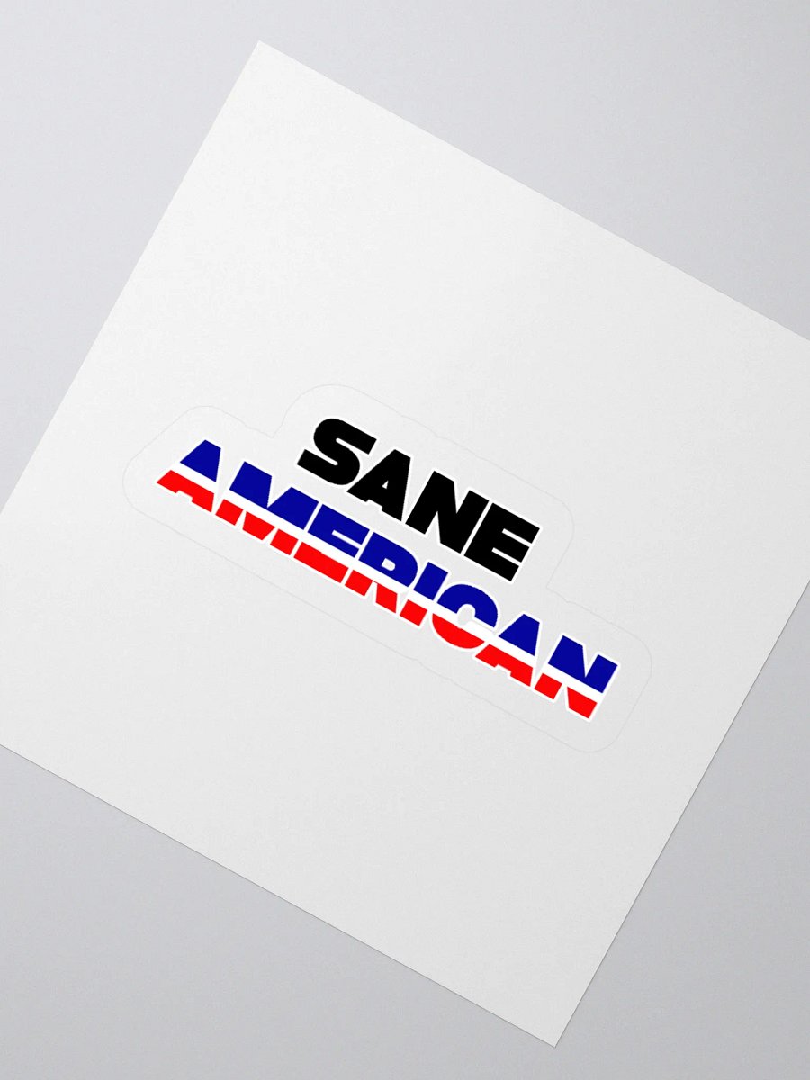 Sane American Sticker product image (8)
