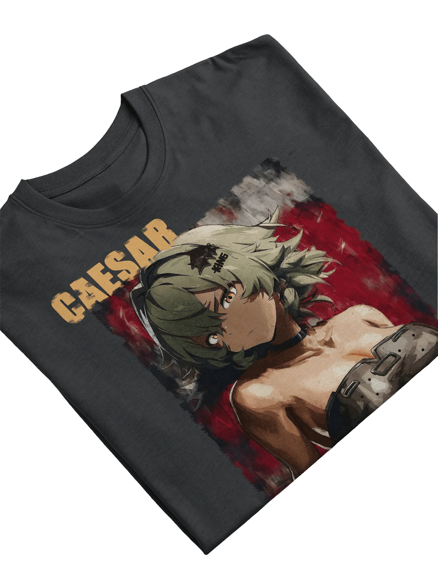 HAIL TO THE KING! Caesar King Cotton Premium Heavyweight Tee product image (18)