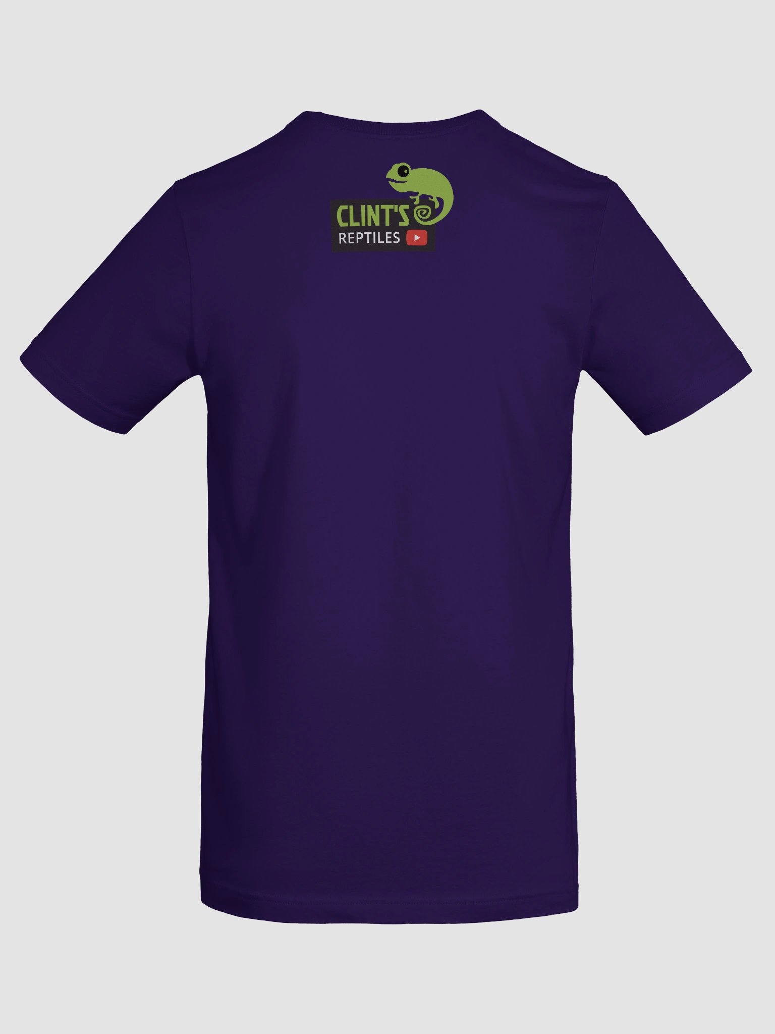 What's Your Favorite Dinosaur? Triceratops Shirt product image (84)