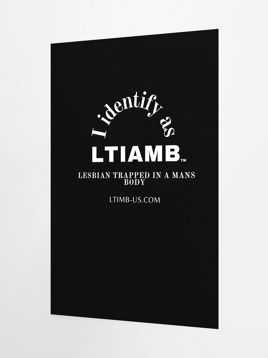 LTIAMB posters product image (5)