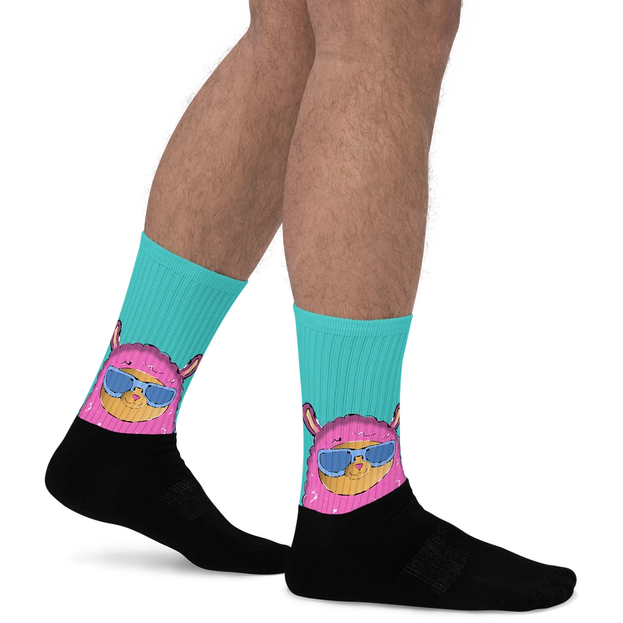 Funky Llama Socks product image (22)