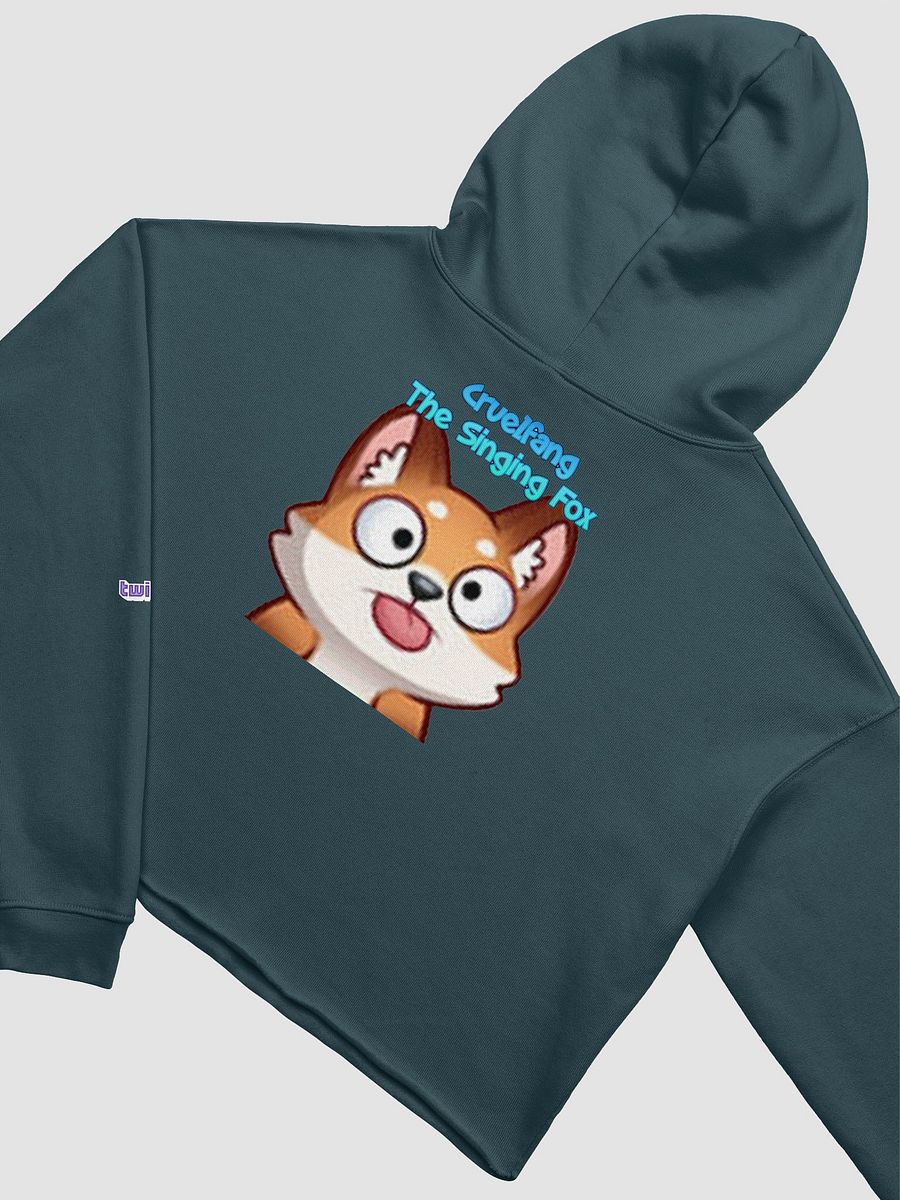 Ladies Hoodie product image (35)