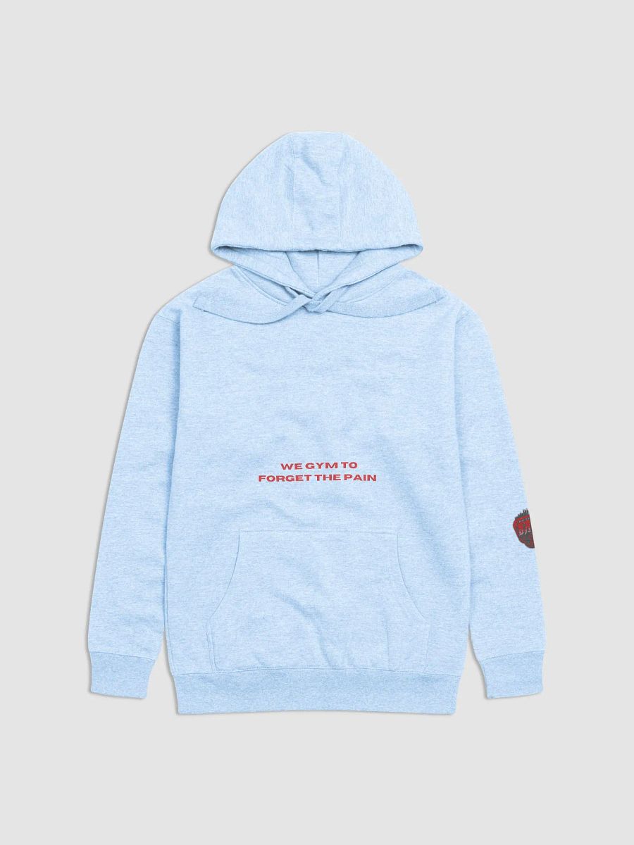 Determination & Resilience Hoodie product image (5)