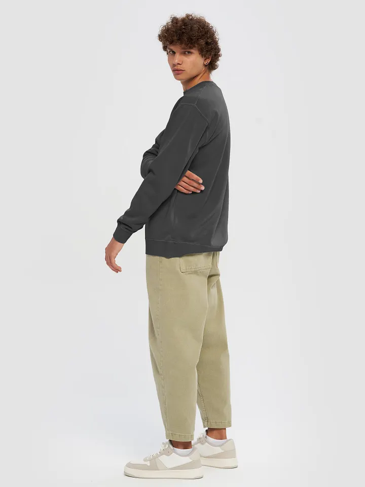 Mystical Dragon Encounter Sweatshirt product image (2)