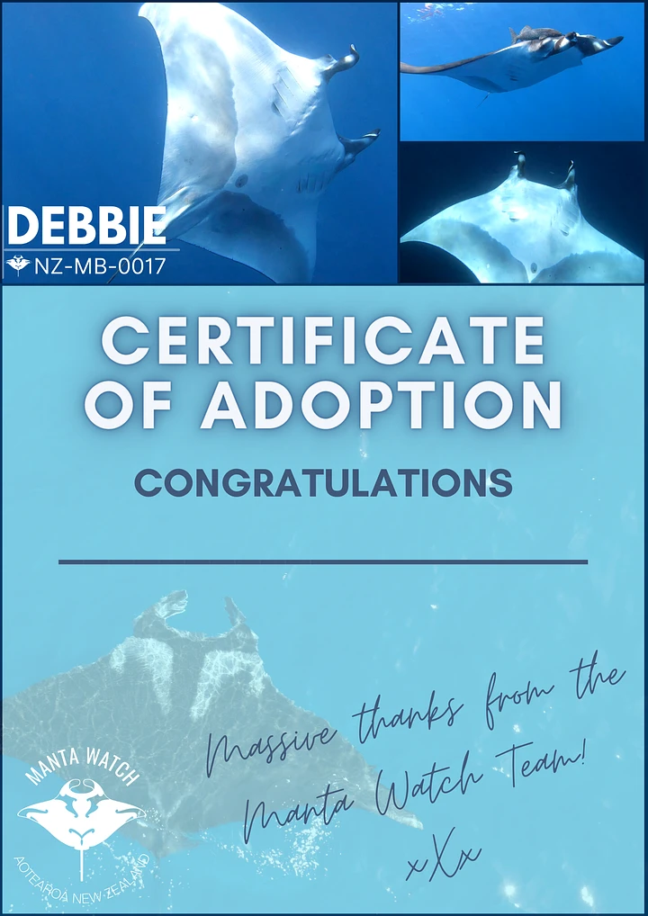 Debbie - Adopt A Manta Pack product image (1)