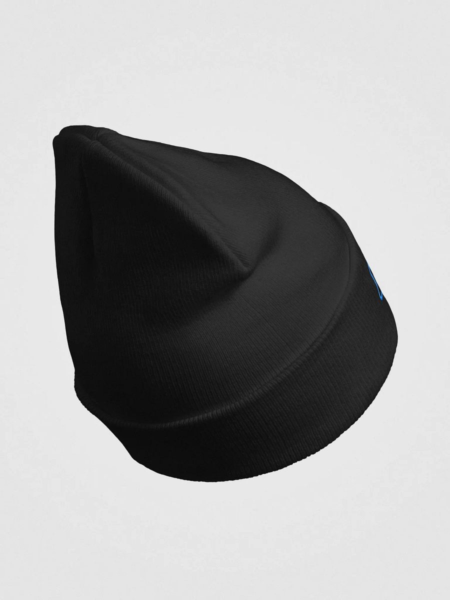 Otto Embroidered Beanie product image (13)