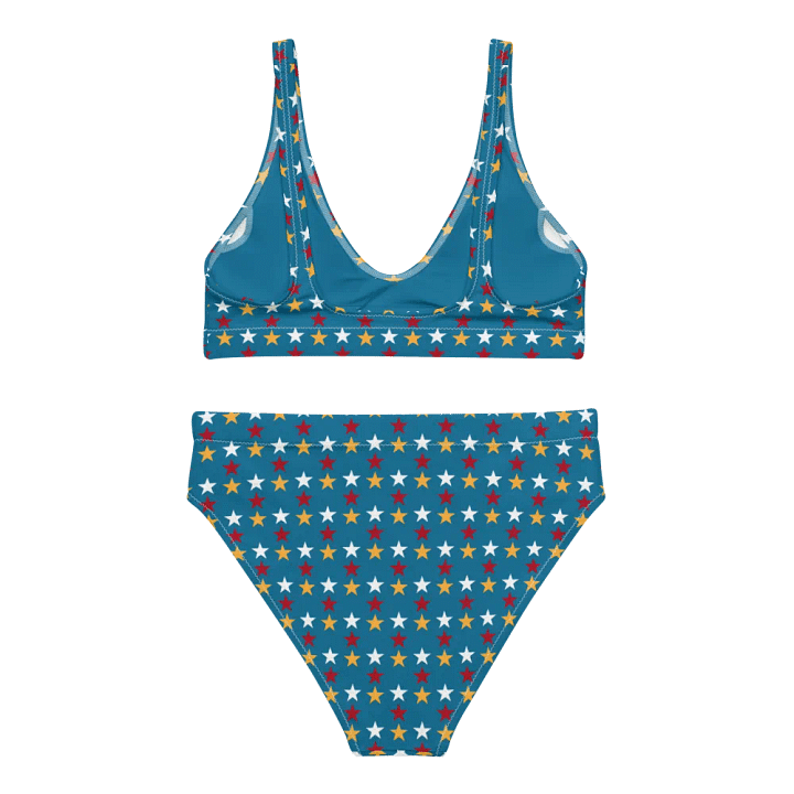 The Bonesdale Bikini product image (2)
