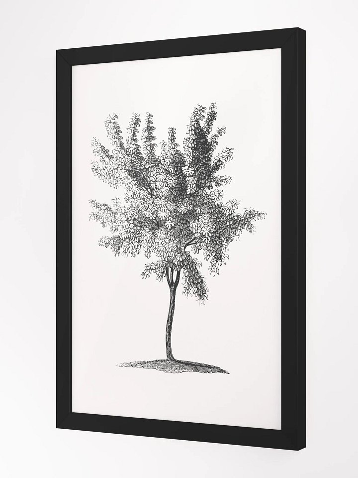 Woodland Trees #2 Framed Print product image (3)