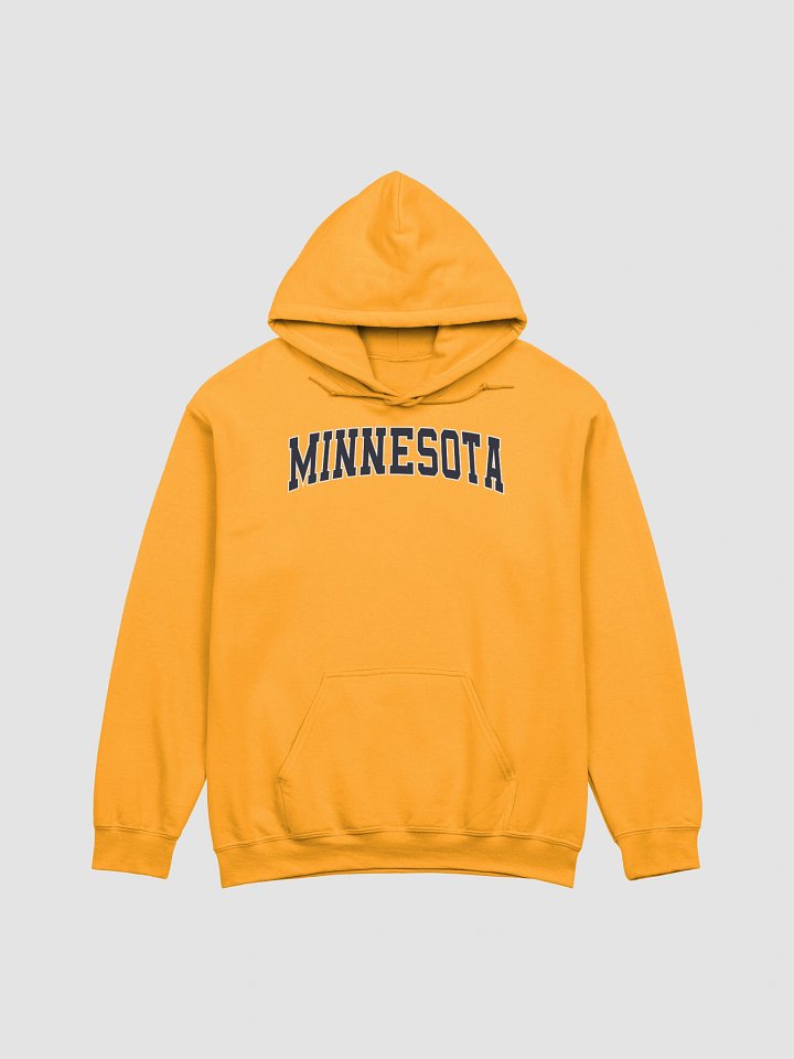 Minnesota Vintage Stylish Classic Hoodie product image (1)