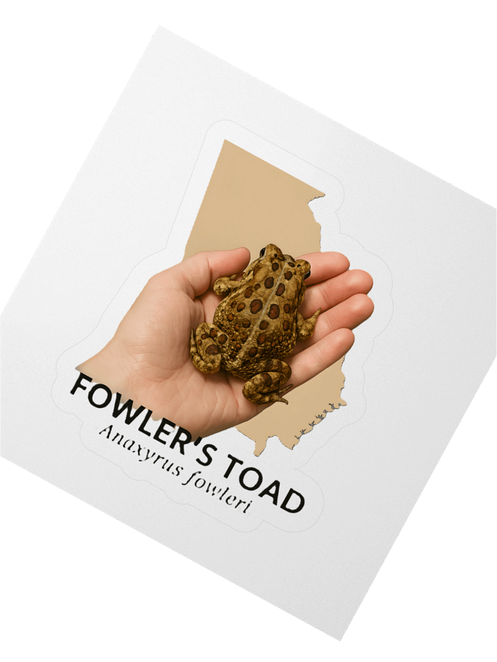 Fowler's Toad Kiss Cut Stickers product image (6)