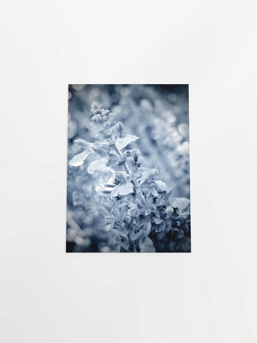 Wisteria 6 product image (51)