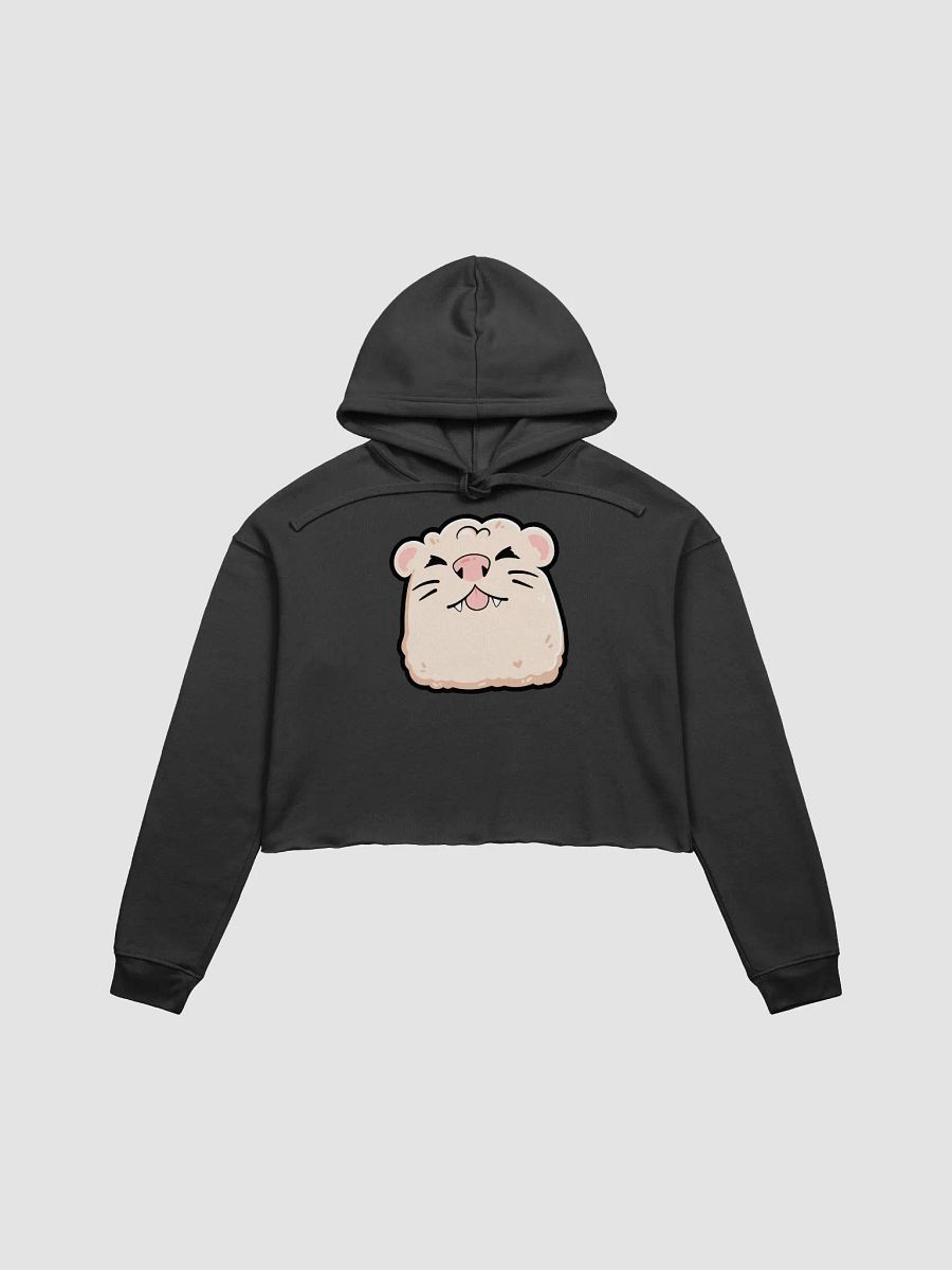 MLEM CROP HOODIE product image (1)