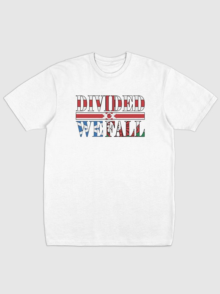 Divided We Fall - UK - Cotton Heritage Men's Premium Heavyweight Tee product image (2)