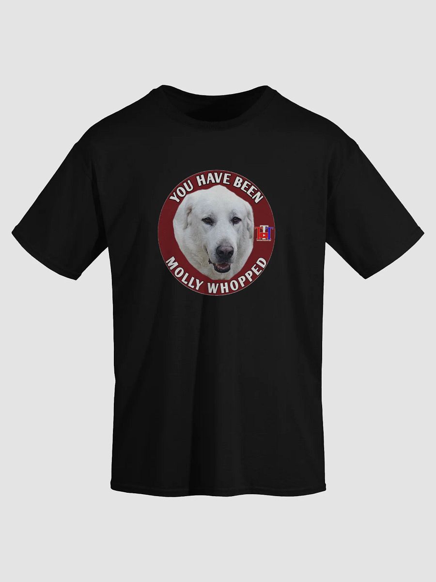 YOU HAVE BEEN MOLLY WHOPPED product image (1)