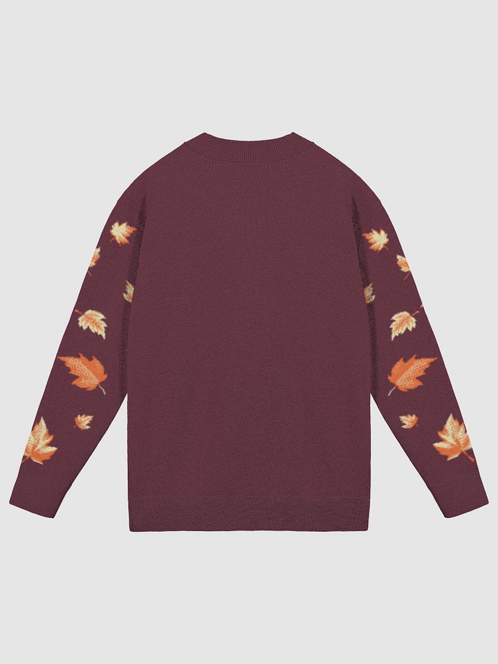 Possum Spice Latte Cardigan product image (2)