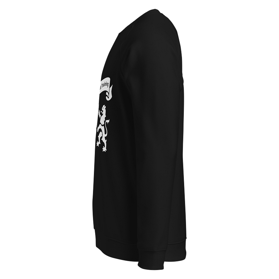 Organic Raglan Sweatshirt - white HACT logo product image (3)