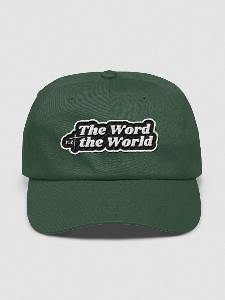 Hat: The World Not the World (more colors available) product image (1)