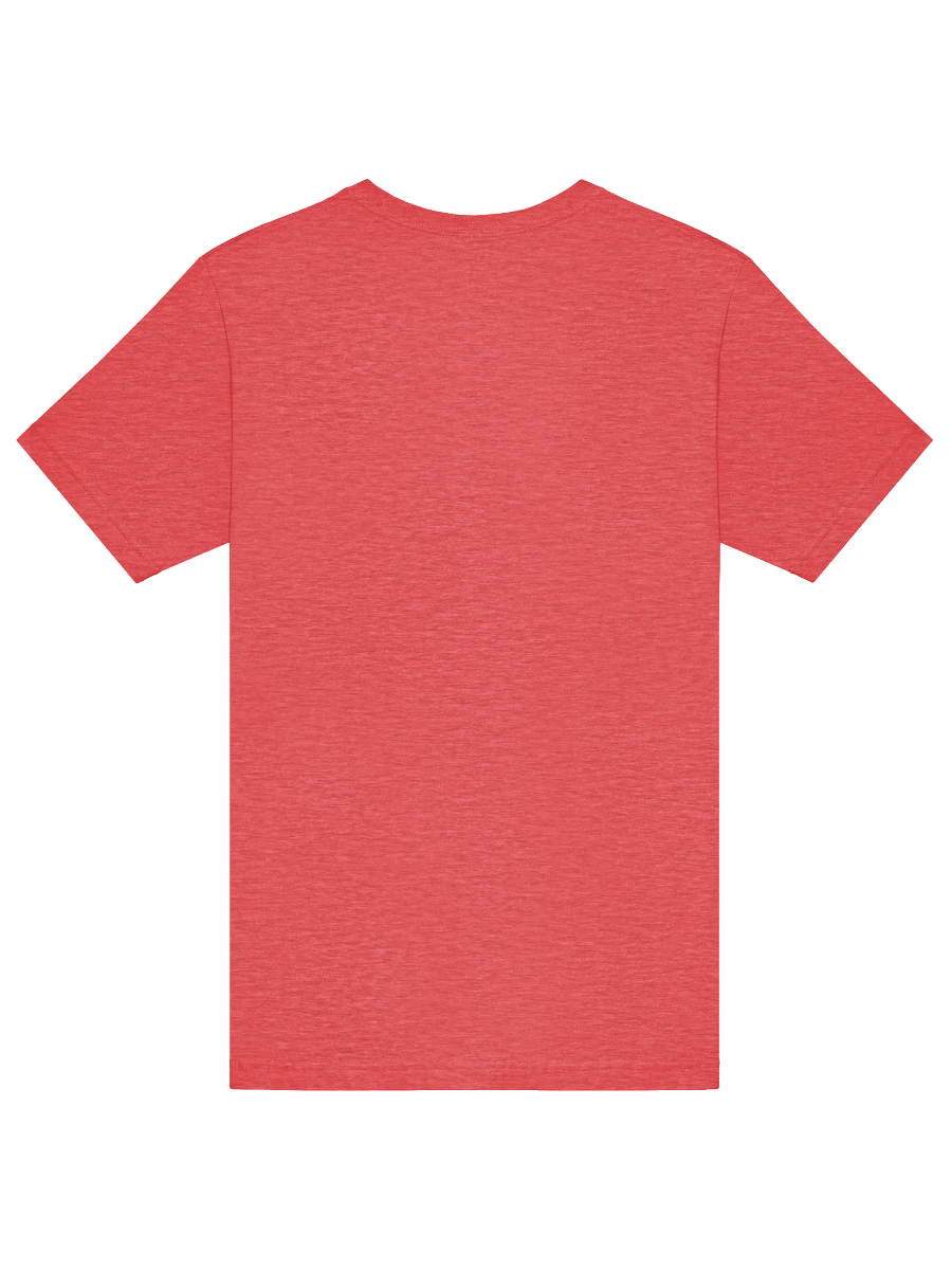 Full Pride LGB with the T big print tee product image (6)