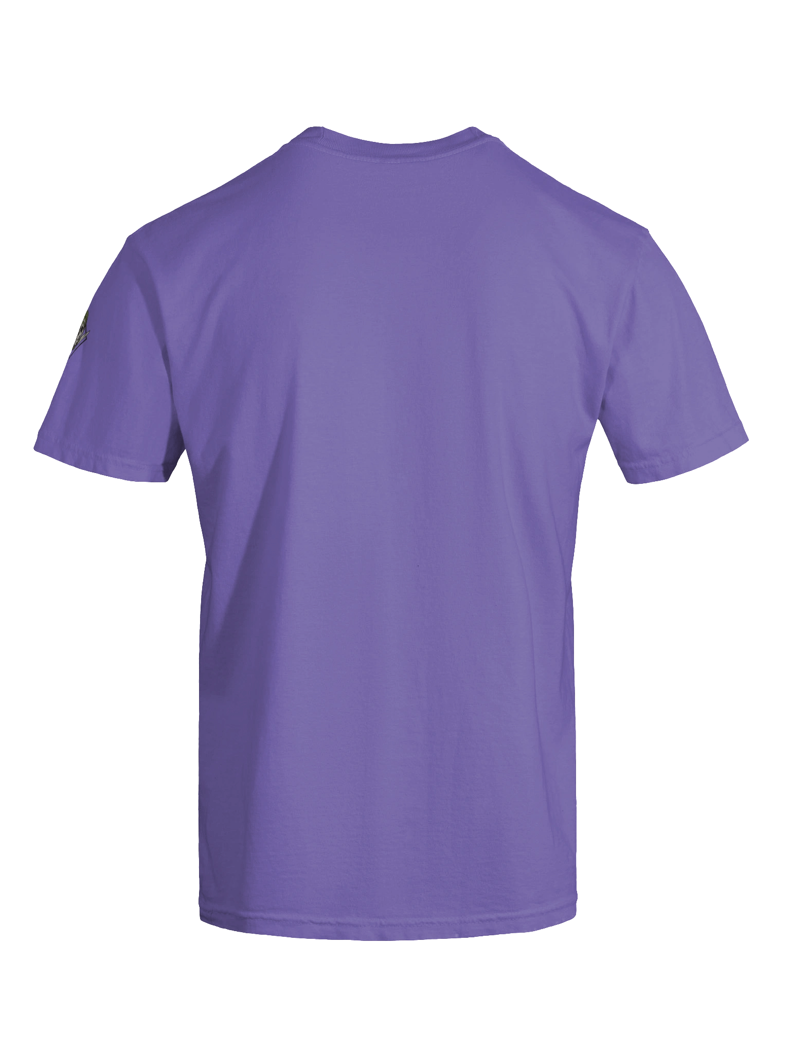 Skull & Crossed Swords Military T-Shirt product image (26)