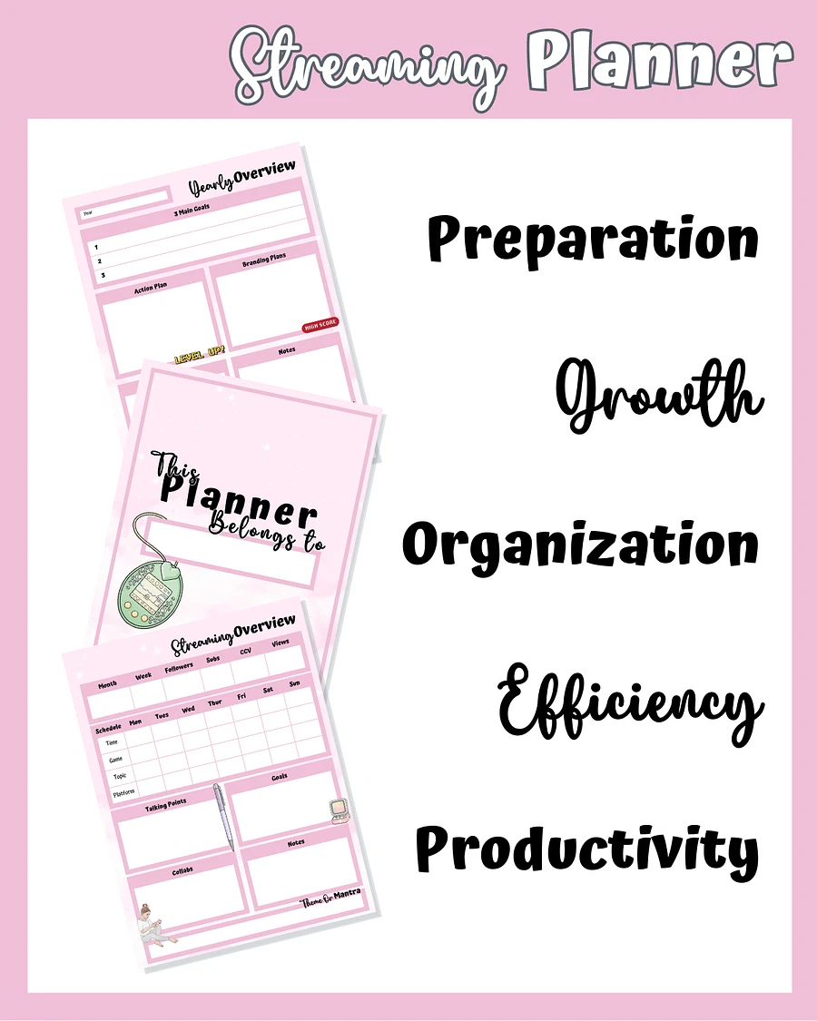 Pink Streaming Planner Printable product image (4)
