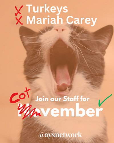 Forget about Thanksgiving and don't even think about the Holidays. Celebrate COTvember with our Staff! 

Join our Staff on Di...