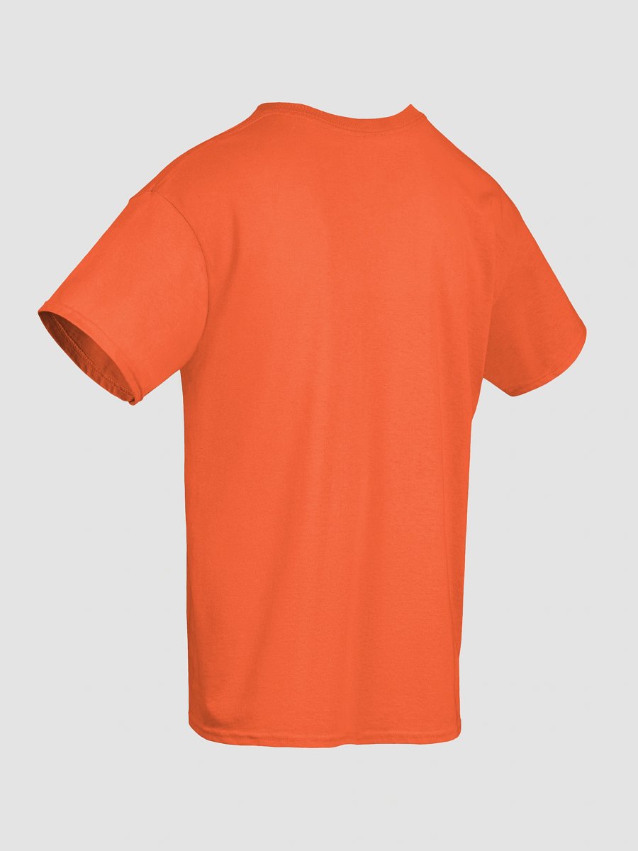 Healthy Wealthy Vegetarian & Vegan Tee product image (10)