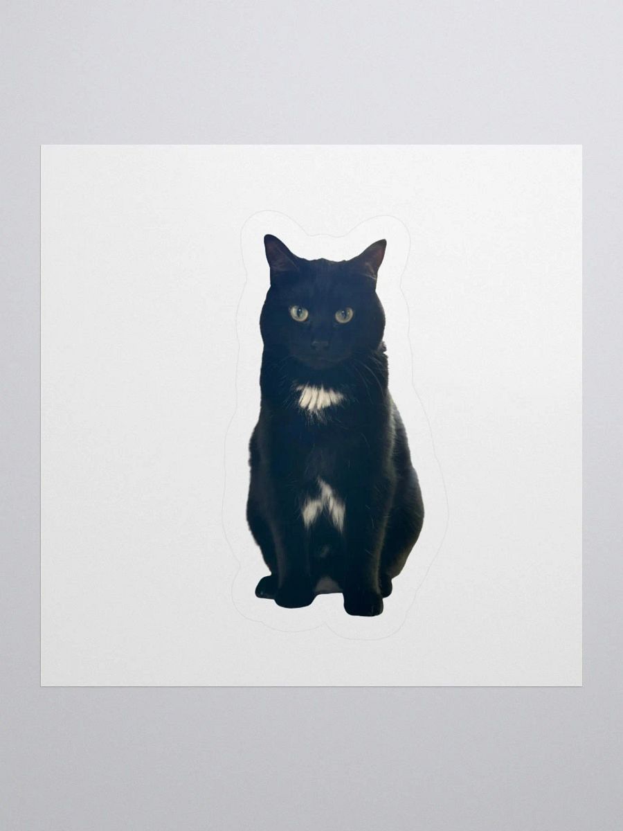 Romeo Sticker product image (1)