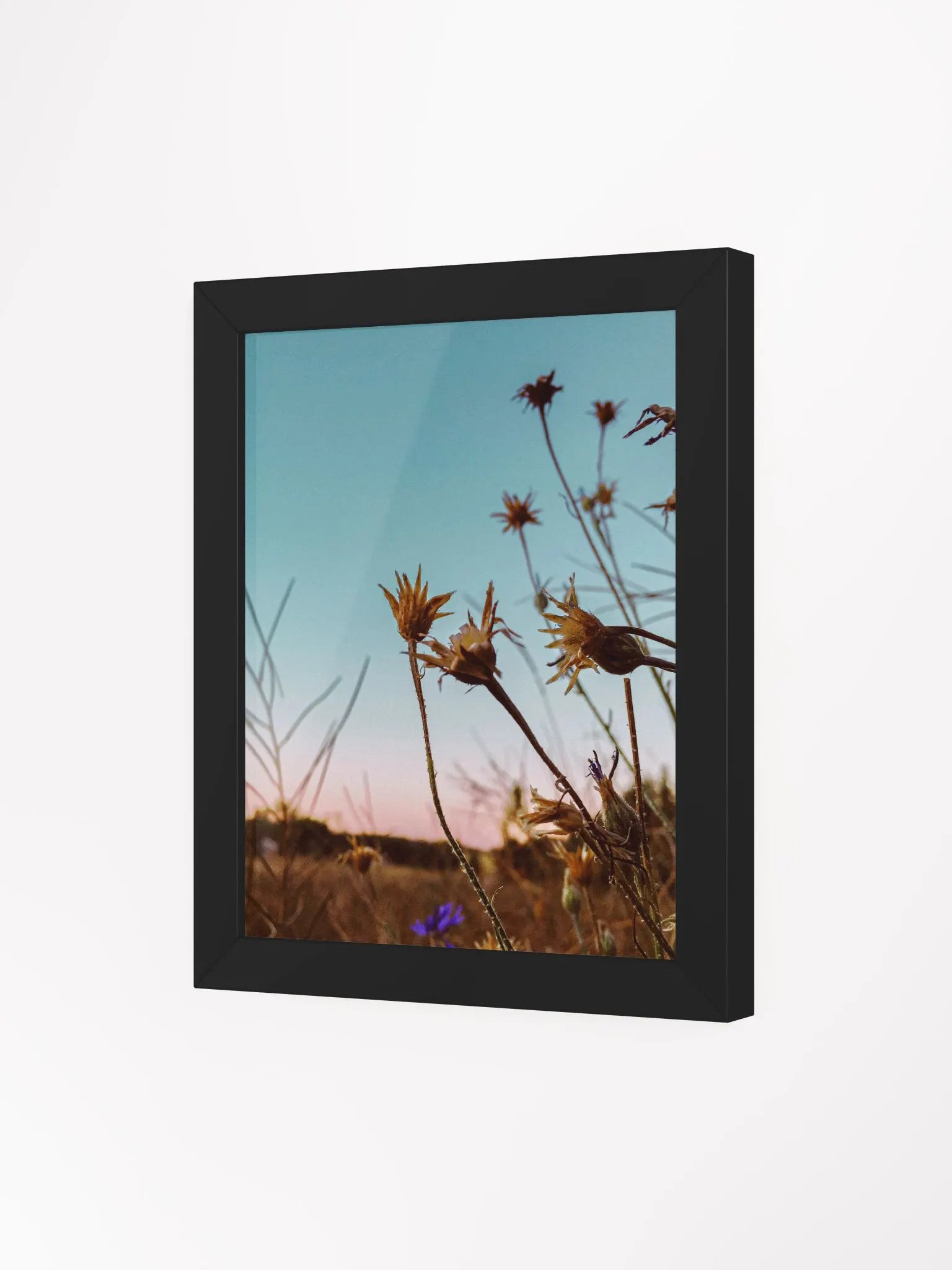 Wildflowers at Sunrise product image (29)