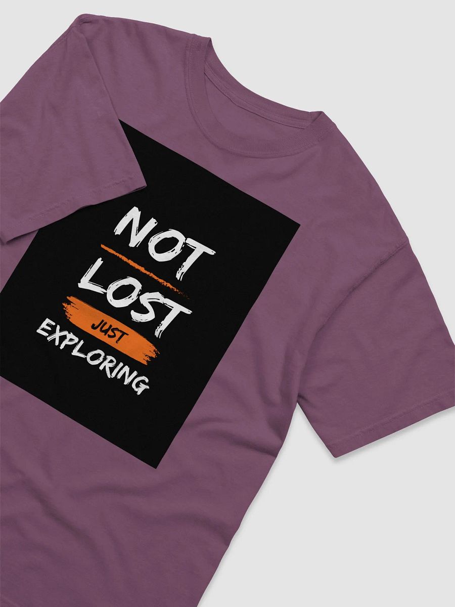 Explore & Embrace T-Shirt product image (22)