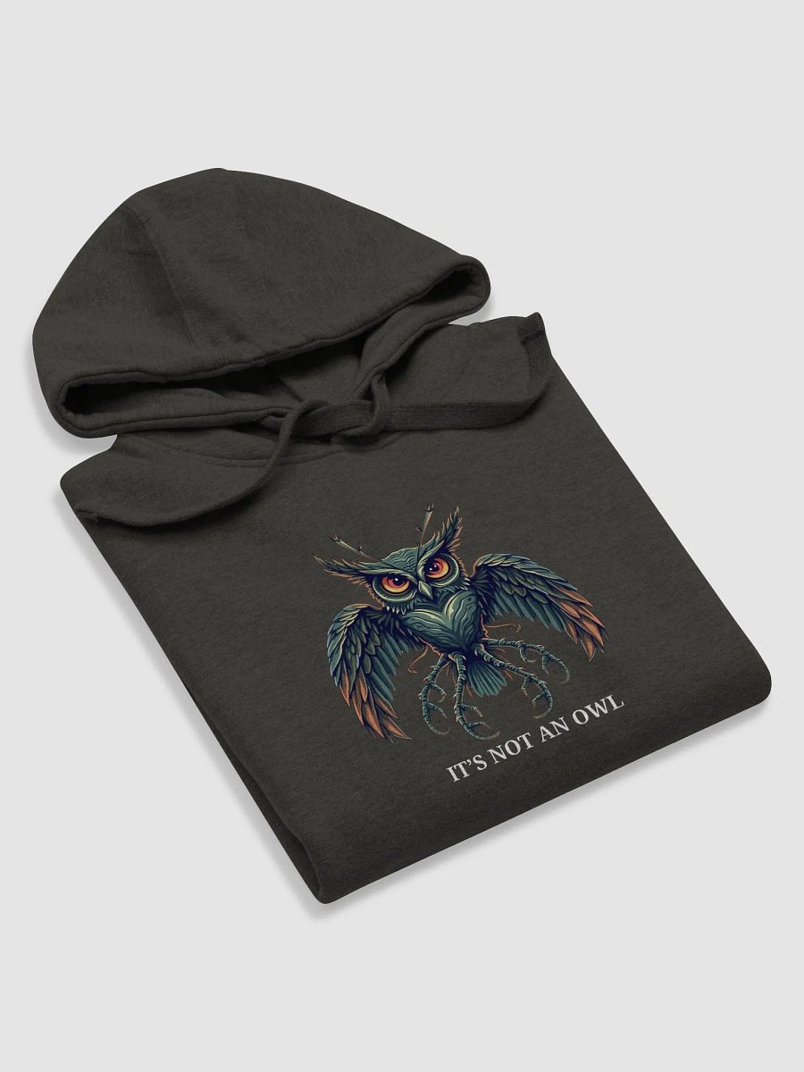 'IT'S NOT AN Owl' ALIEN T-Shirt Unisex Hoodie product image (3)
