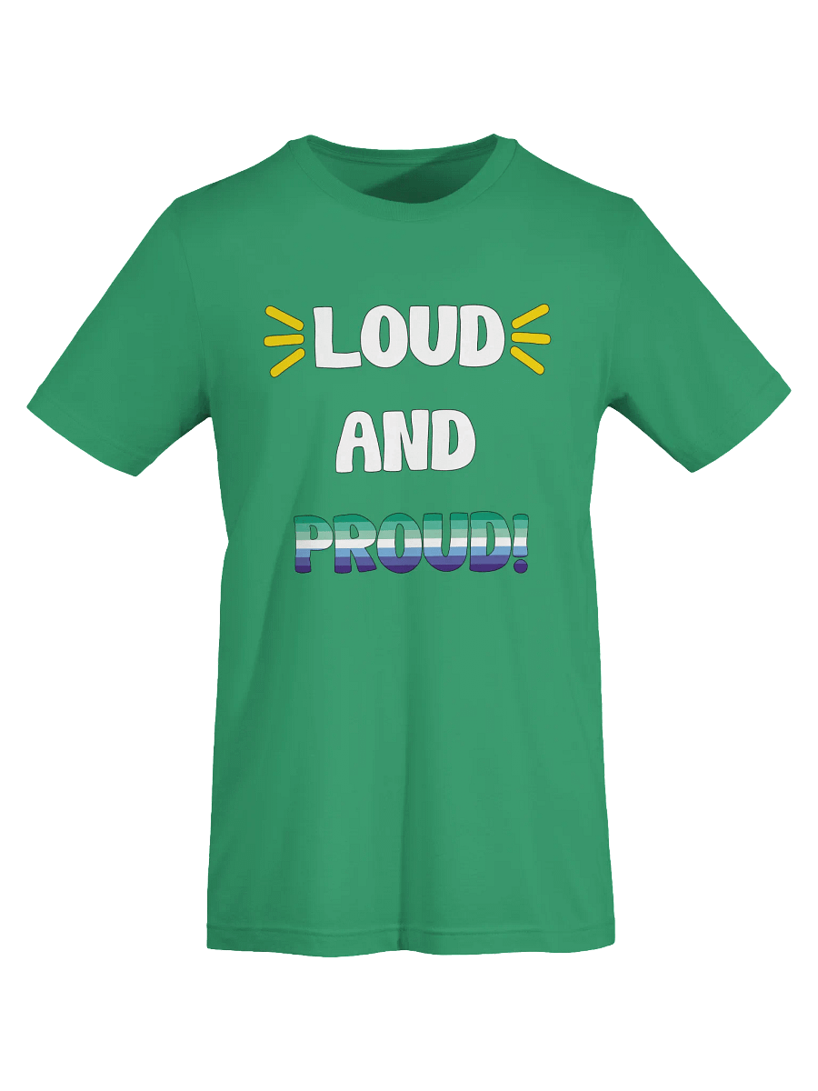 Loud and Proud Gay T-Shirt product image (62)