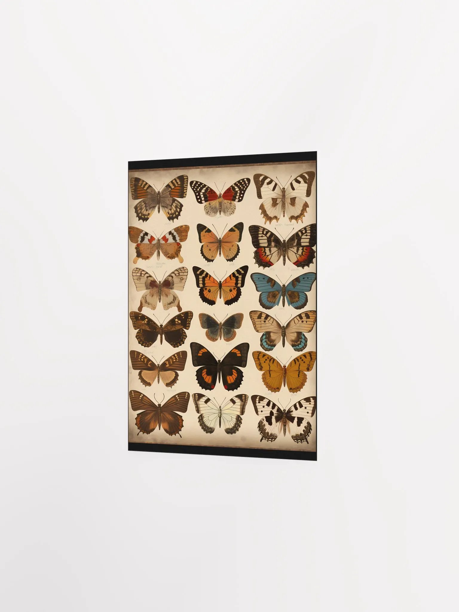 Butterfly Dreams Poster product image (7)