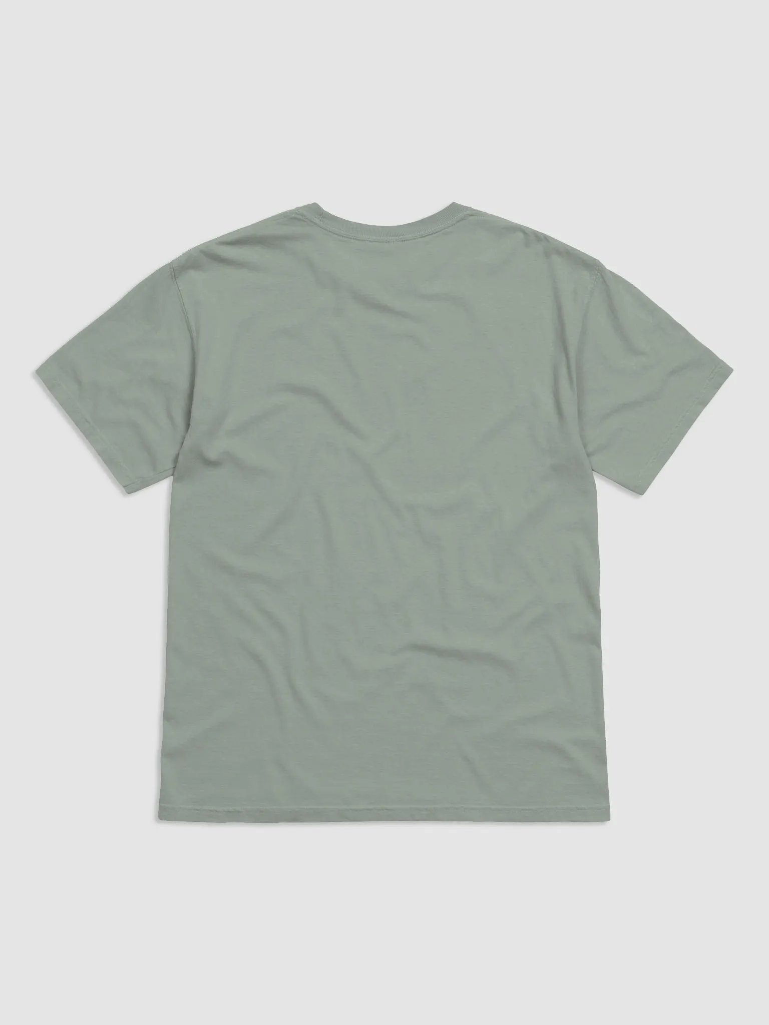 New Logo Shirt (Black) product image (2)
