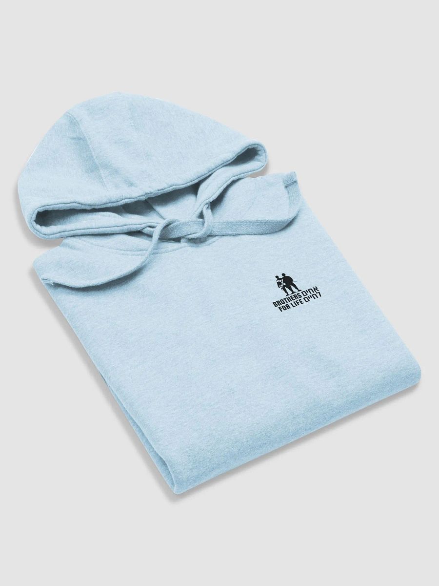 Unisex BFL hoodie product image (16)