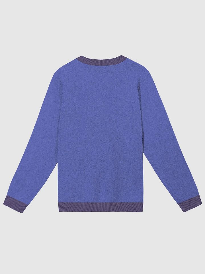 Foxy Knitted Sweater product image (10)