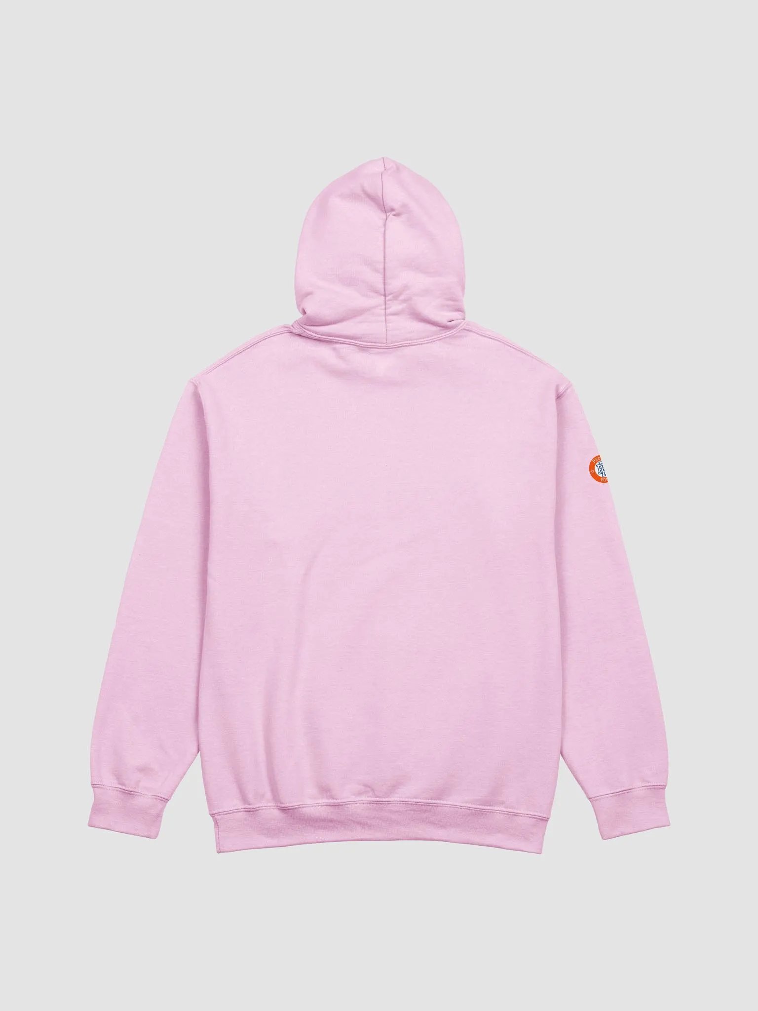 Flamingo Forever Women's Hoodie product image (11)