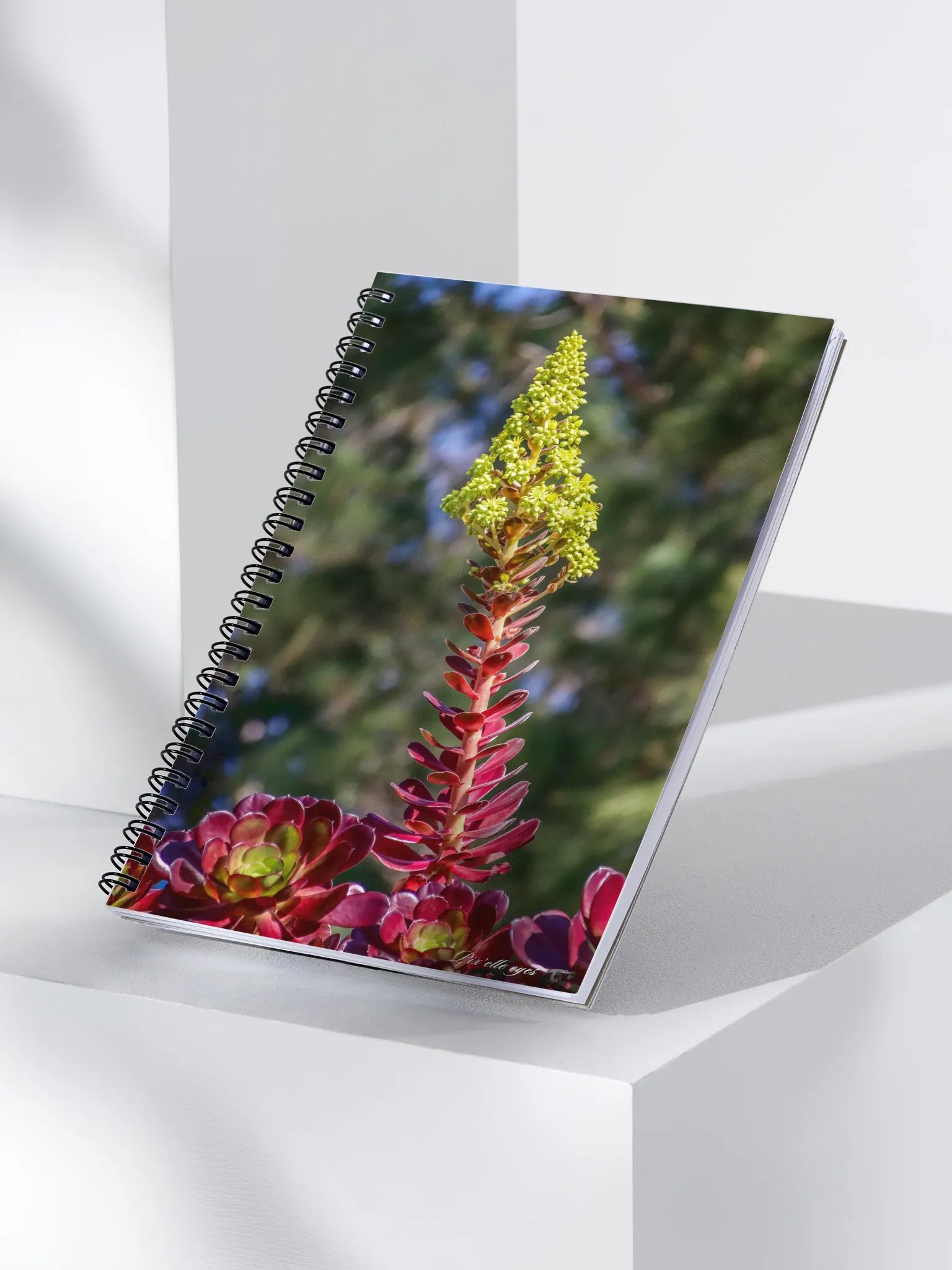 📘 Notebook Collection PURE – Jardin du Rayol – Aeonium en floraison product image (3)