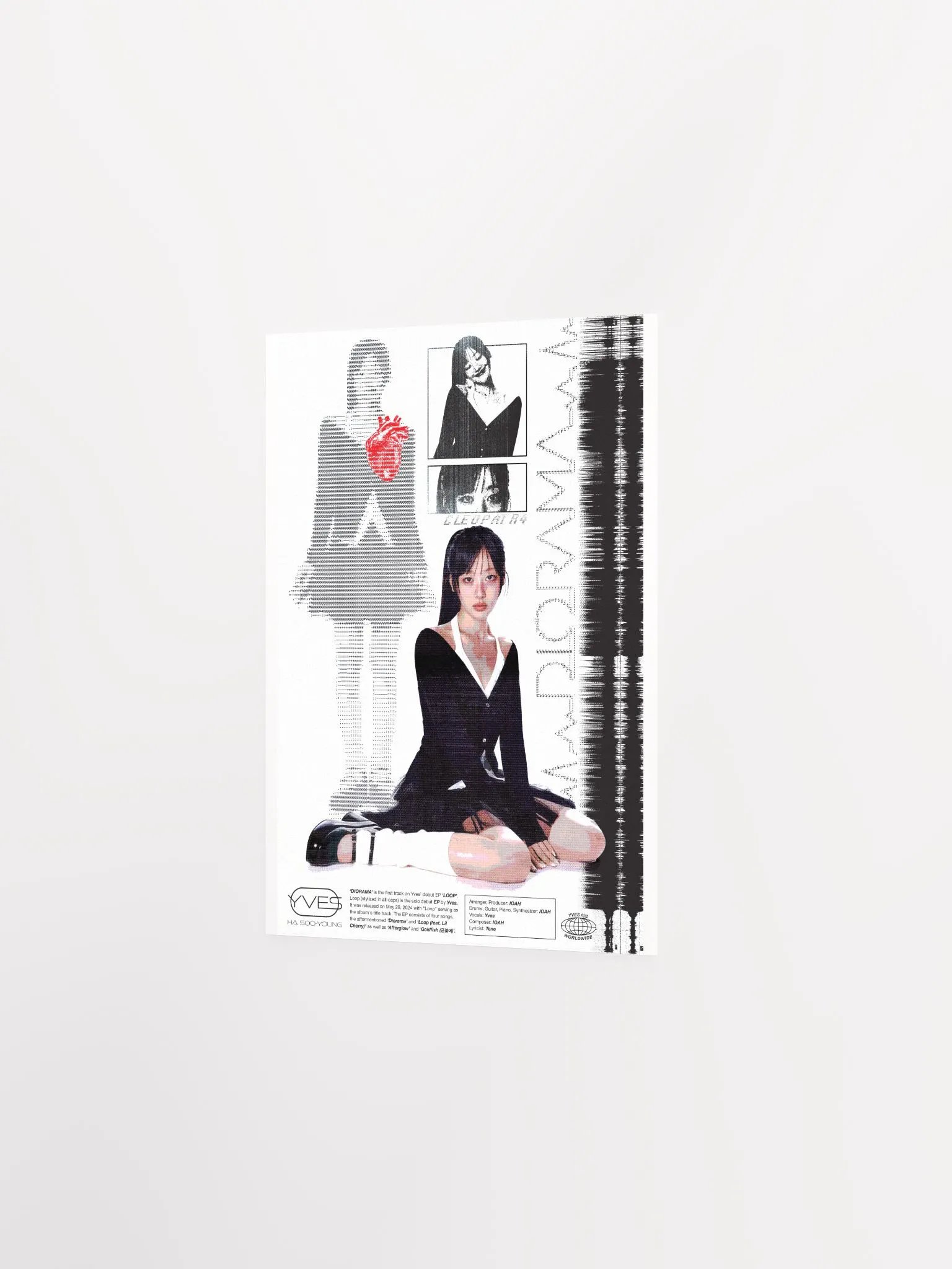 YVES 'DIORAMA' product image (8)