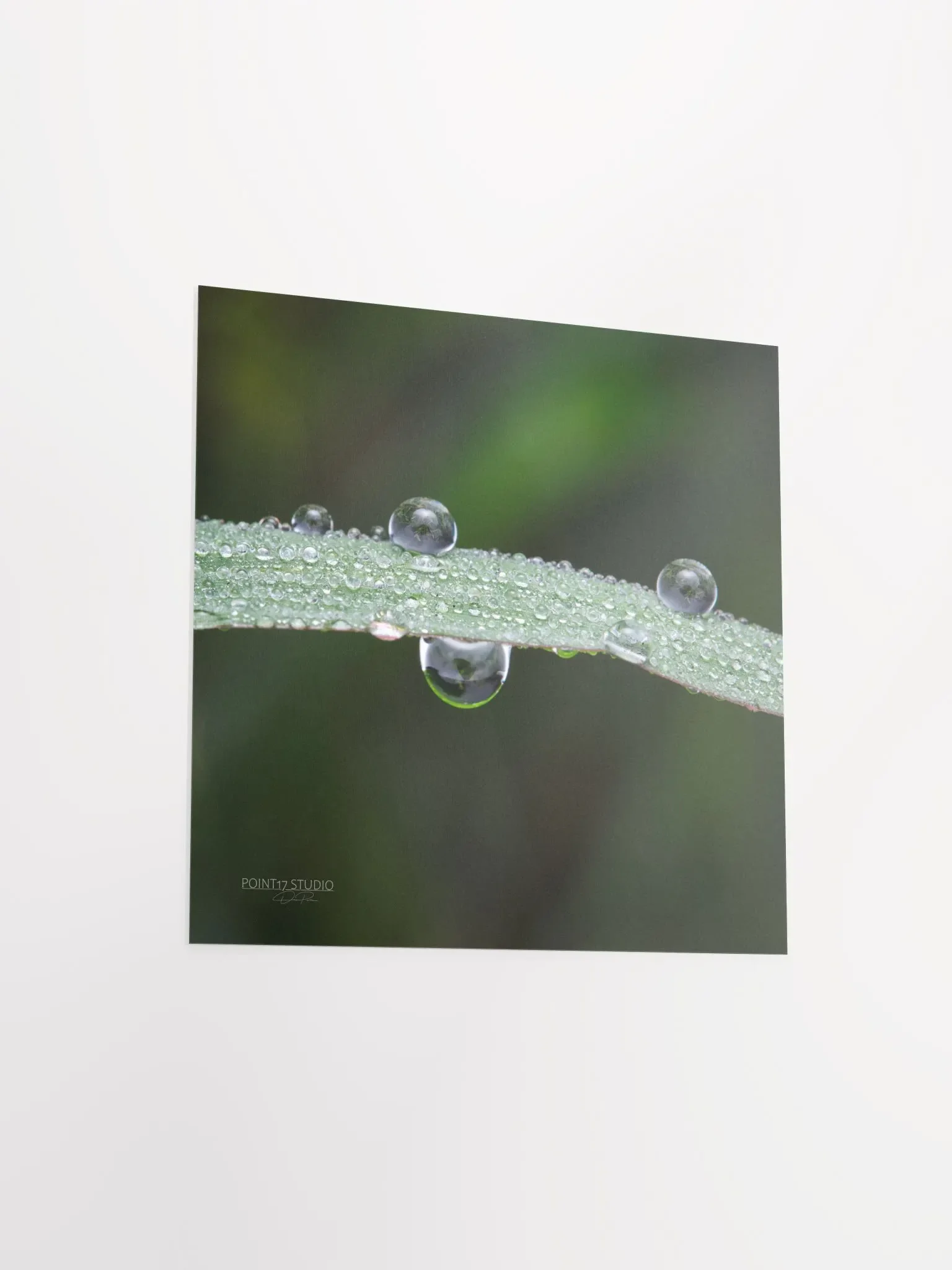 Dew Gems #7 - Print product image (9)