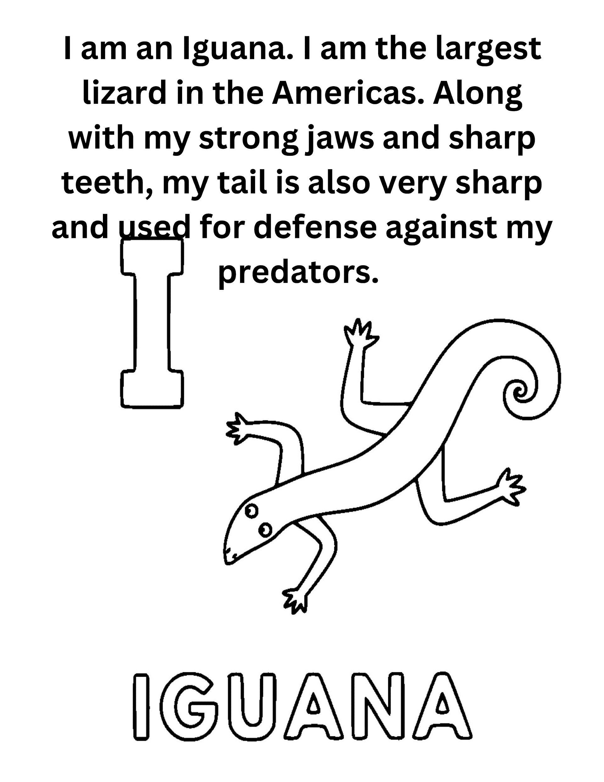 "Did You Know" Animal Facts Alphabet Coloring Pages product image (10)