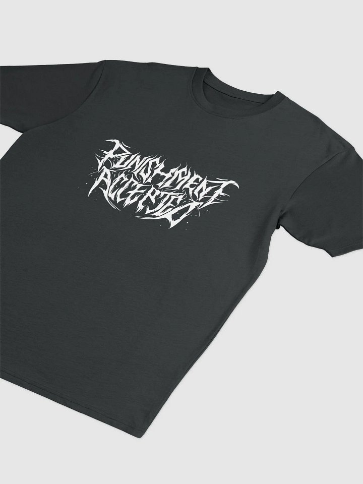 Punsihment Accepted - T-Shirt product image (2)