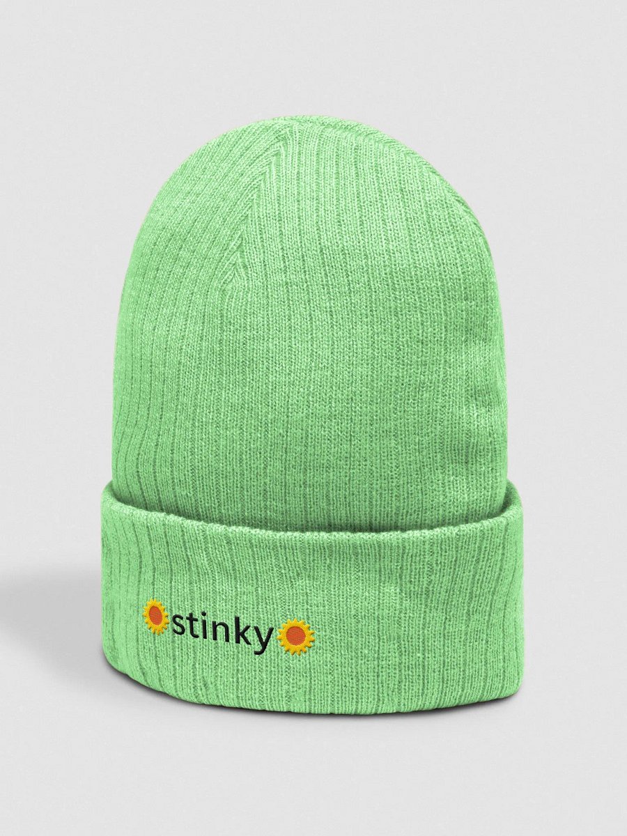 stinky ribbed beanie hat product image (2)