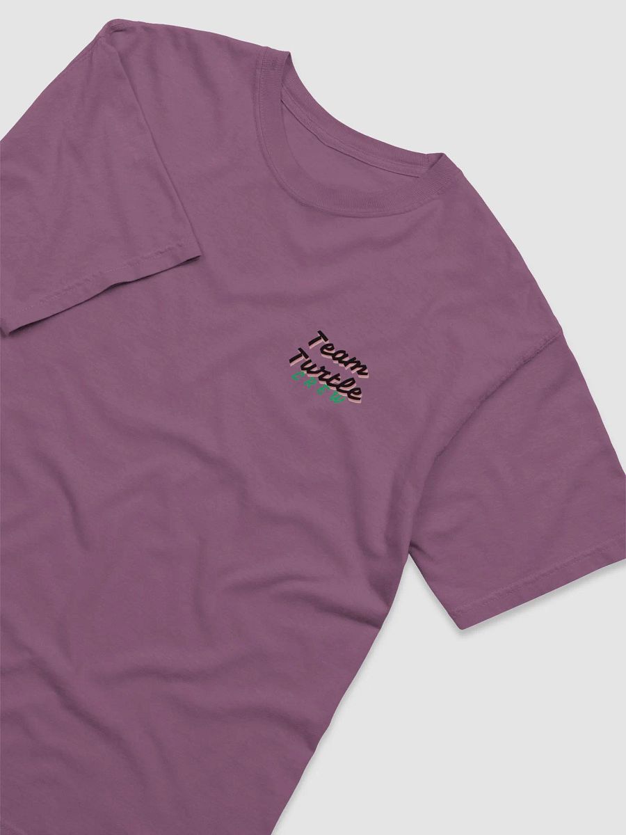 Team Turtle Crew Donatello product image (3)