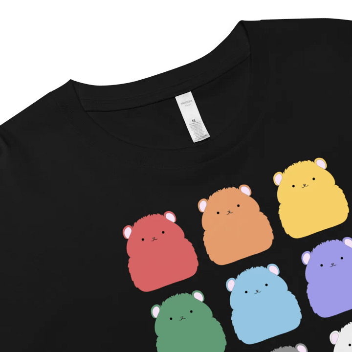 Rainbow Hamster Colours - Crop Tee product image (2)
